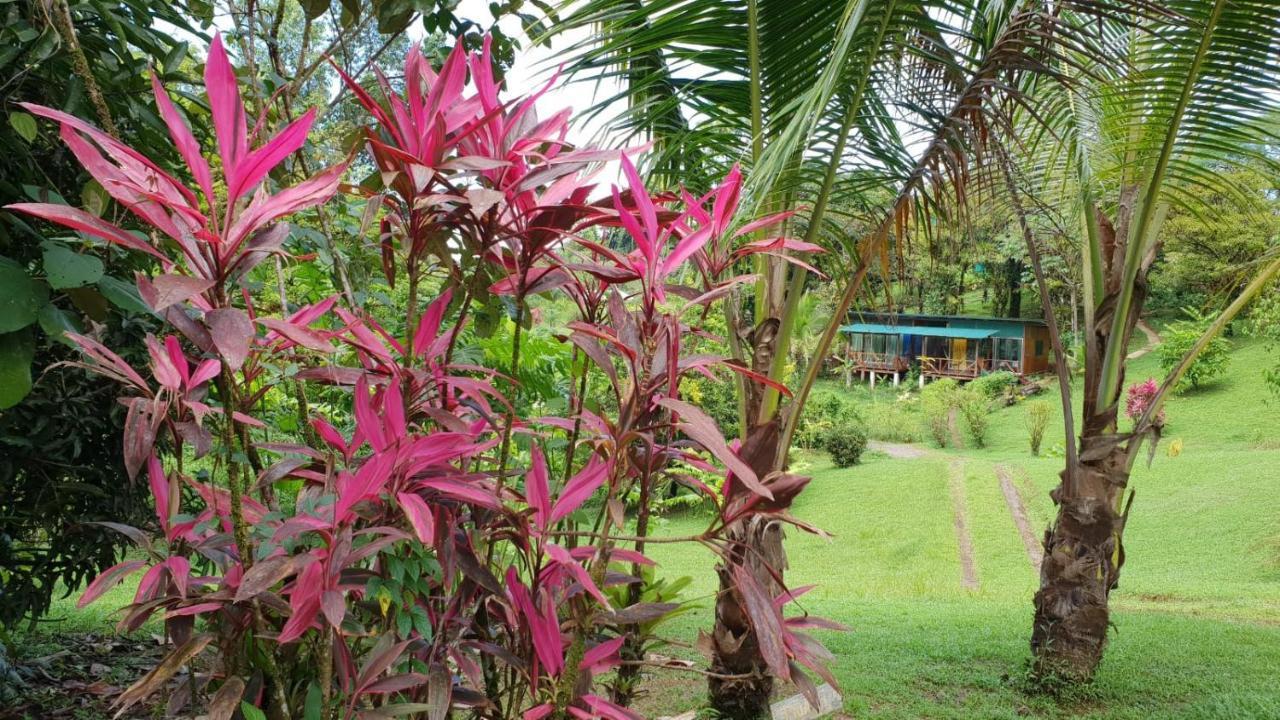 Hotel Finca Maresia Drakes Bay Exterior foto